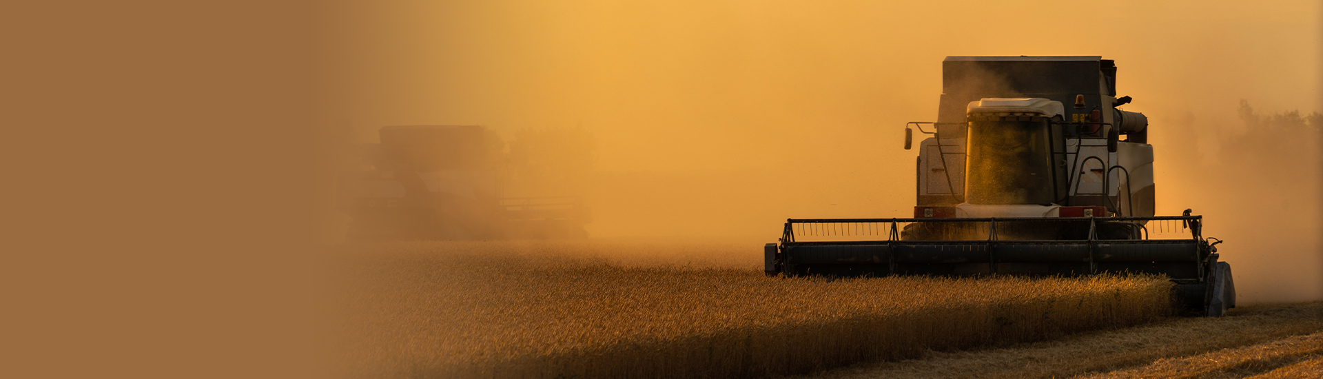 �r(n��ng)�I(y��)�C(j��)е